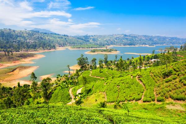 Chennai Pondicherry Tour